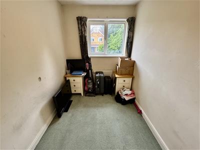 Picture 24